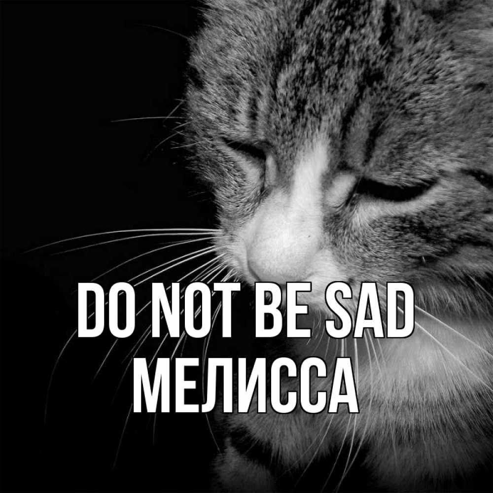 Greetings card с именем, Мелисса Do not be sad грустный котик Greetings with text for free download 