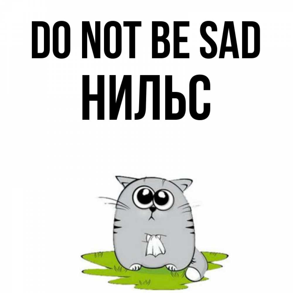 Greetings card с именем, Нильс Do not be sad грустный котяра Greetings with text for free download 