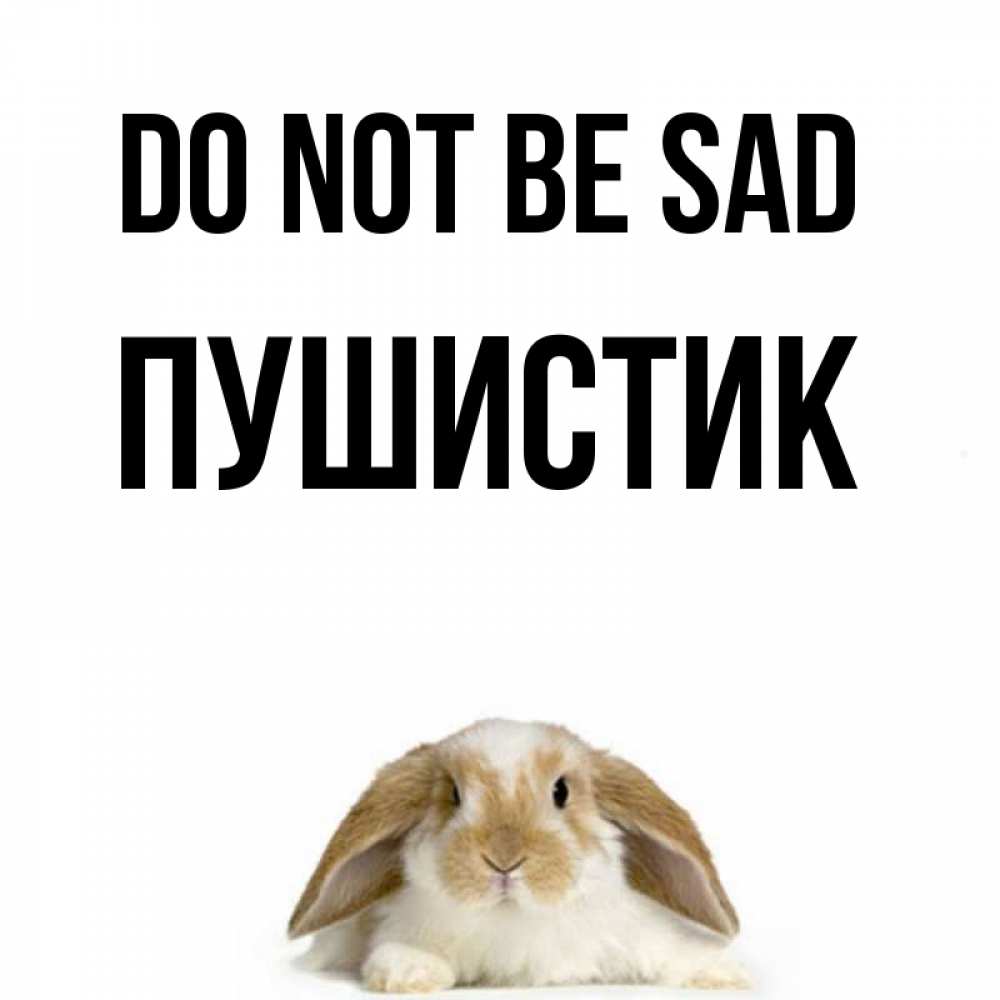 Greetings card с именем, Пушистик Do not be sad коричнево белый заяц с большими ушками Greetings with text for free download 