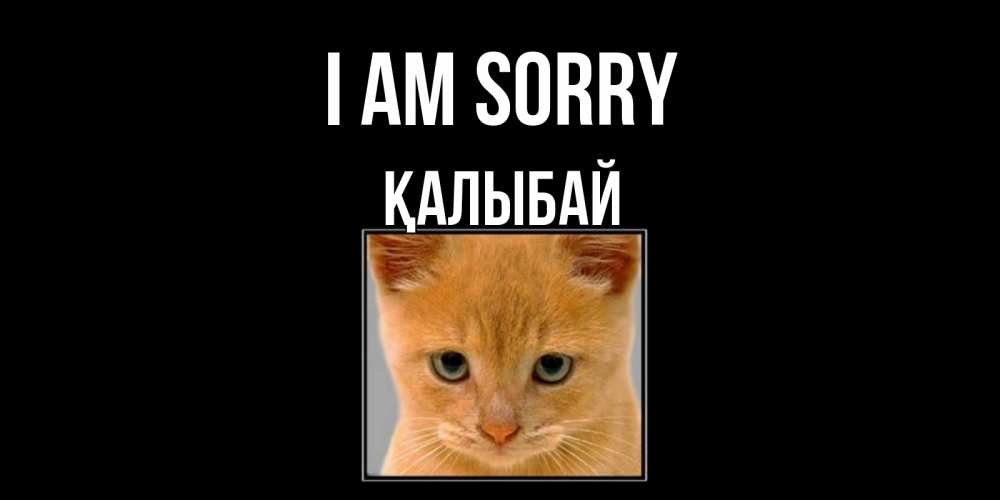 Greetings card с именем, Қалыбай I am sorry рыжий грустный кот просит прощения Greetings with text for free download 