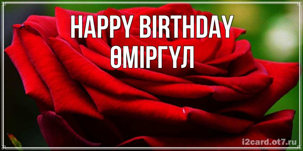 Greetings card с именем, ӨМІРГҮЛ Happy Birthday розочка очень красивая Greetings with text for free download 
