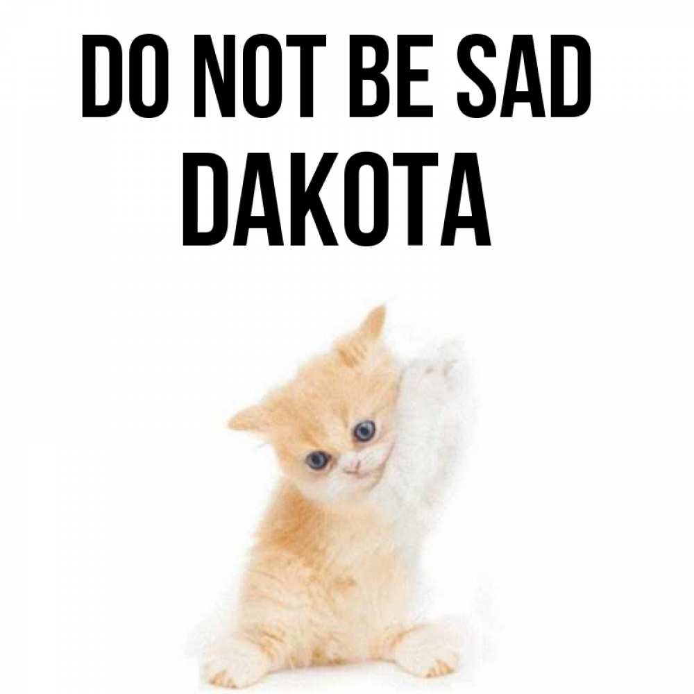 Greetings card с именем, Dakota Do not be sad просящий кот Greetings with text for free download 