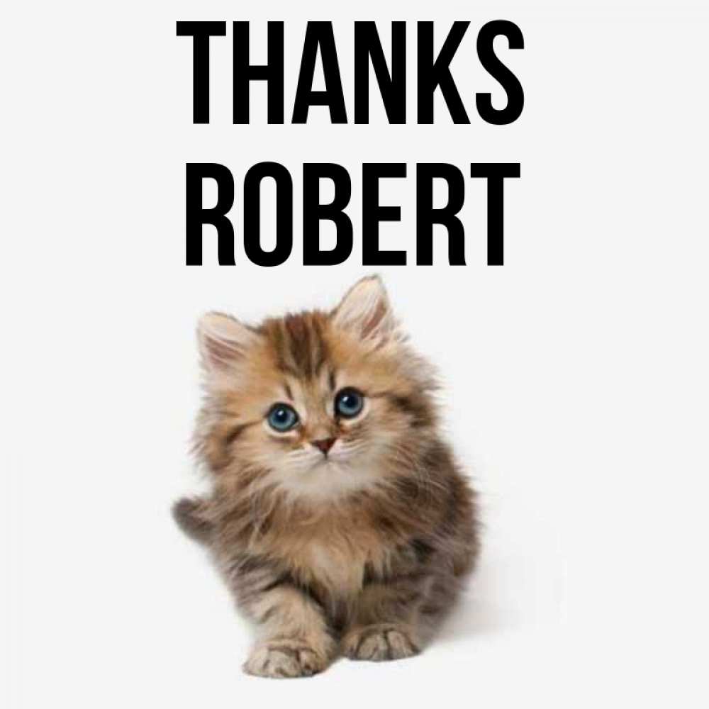 Greetings card с именем, Robert Thanks пушистый котик Greetings with text for free download 