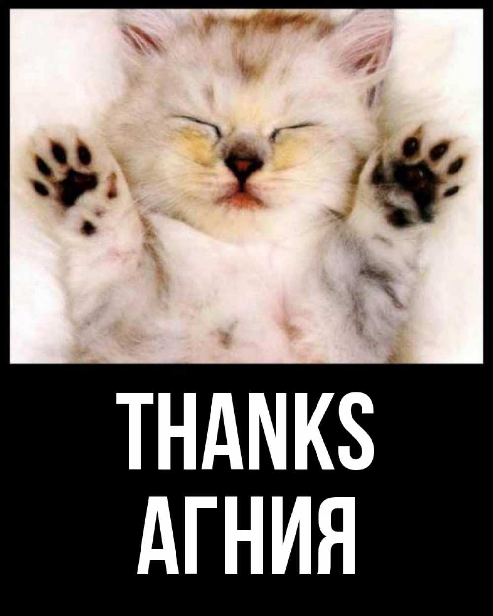 Greetings card с именем, Агния Thanks маленький котенок Greetings with text for free download 