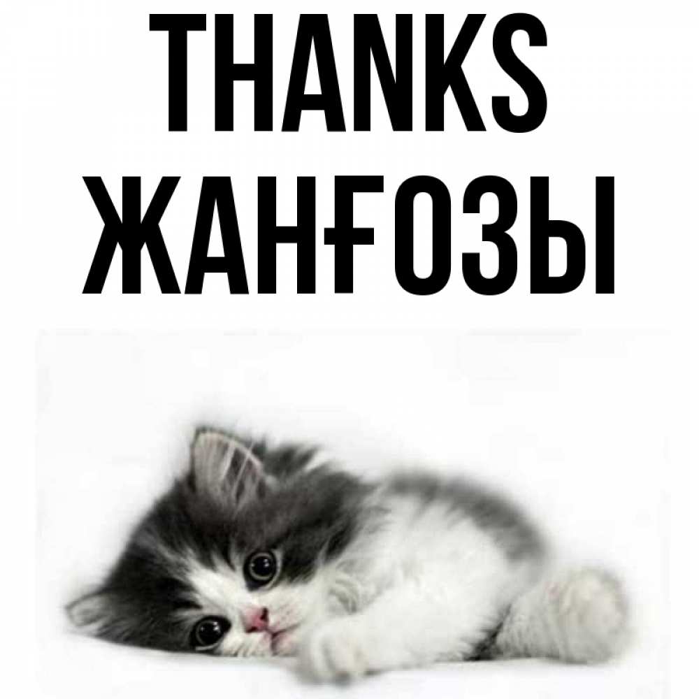Greetings card с именем, Жанғозы Thanks черный и белый кот Greetings with text for free download 