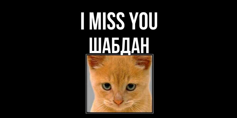 Greetings card с именем, ШАБДАН I miss you открытки рыжий котенок скучает по тебе Greetings with text for free download 