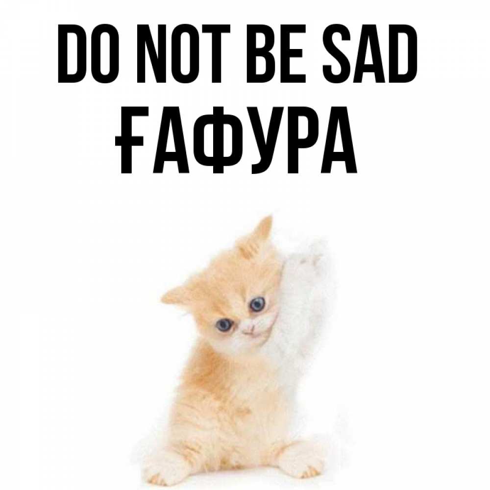 Greetings card с именем, ҒАФУРА Do not be sad просящий кот Greetings with text for free download 