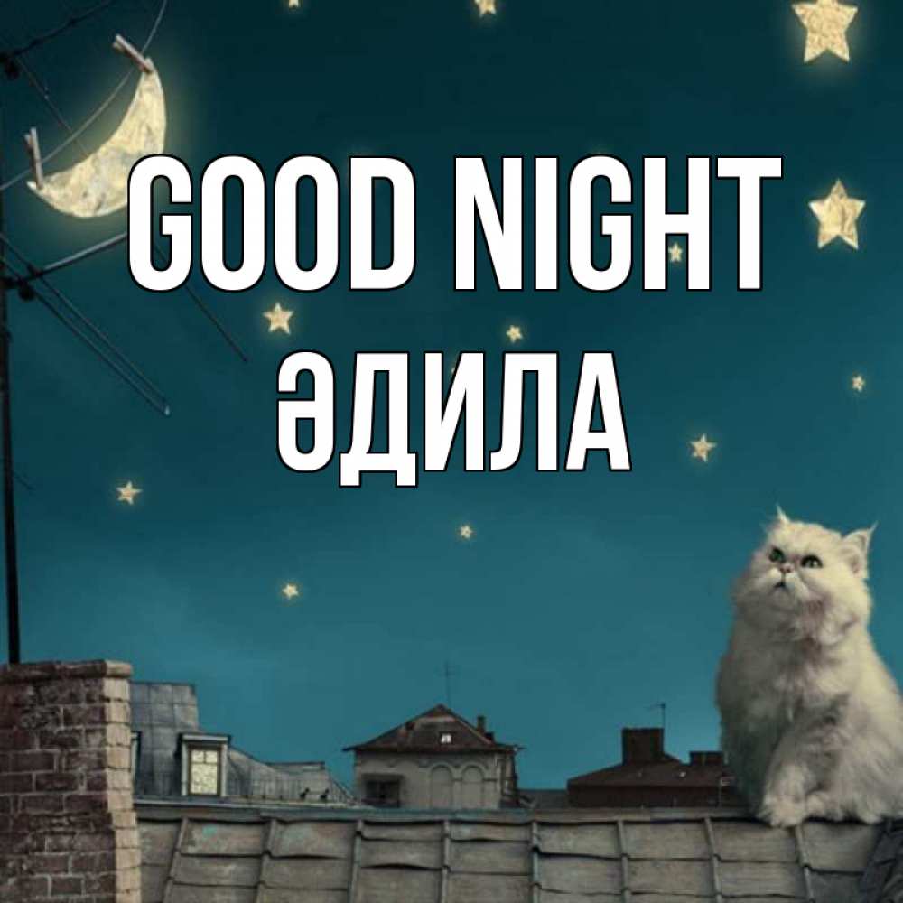 Greetings card с именем, ӘДИЛА Good night белый кот сидит на крыше Greetings with text for free download 