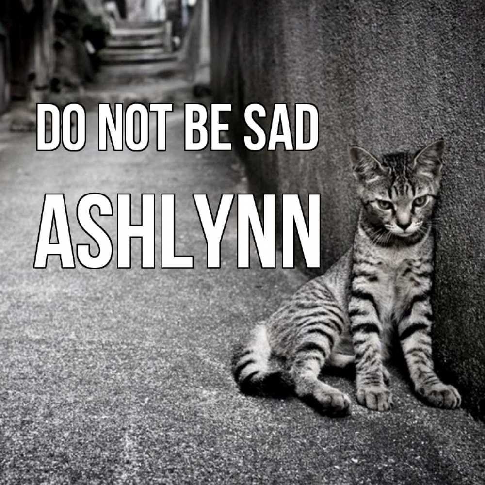 Greetings card с именем, Ashlynn Do not be sad скучающий котик Greetings with text for free download 