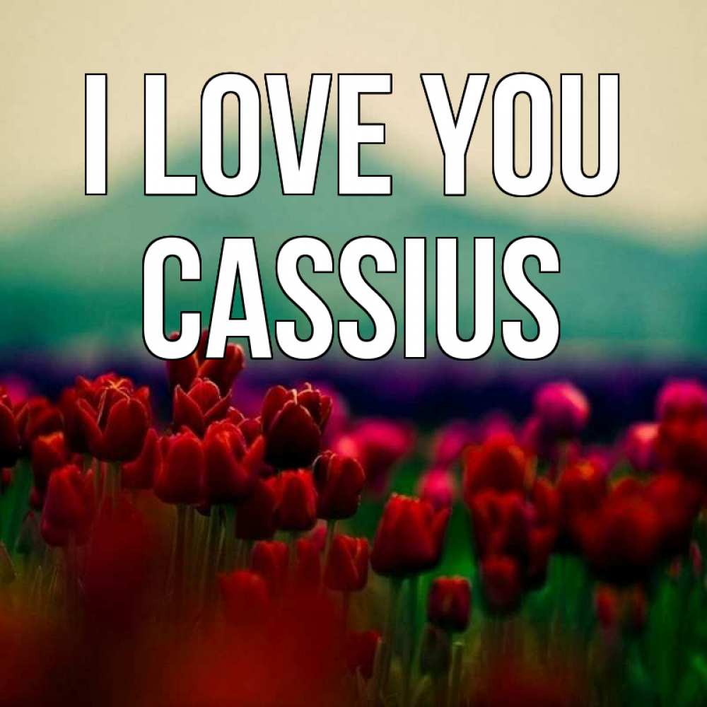 Greetings card с именем, Cassius I love you тюльпаны 4 Greetings with text for free download 