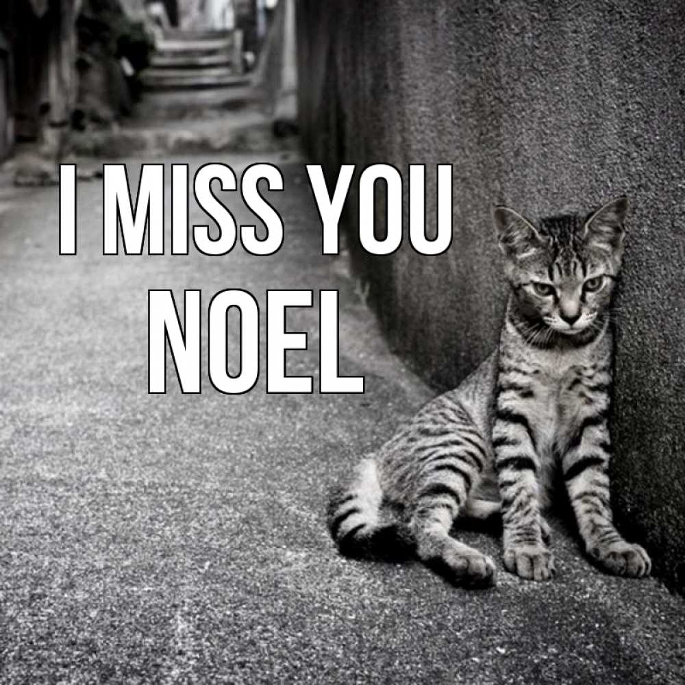 Greetings card с именем, Noel I miss you одиноко котику Greetings with text for free download 