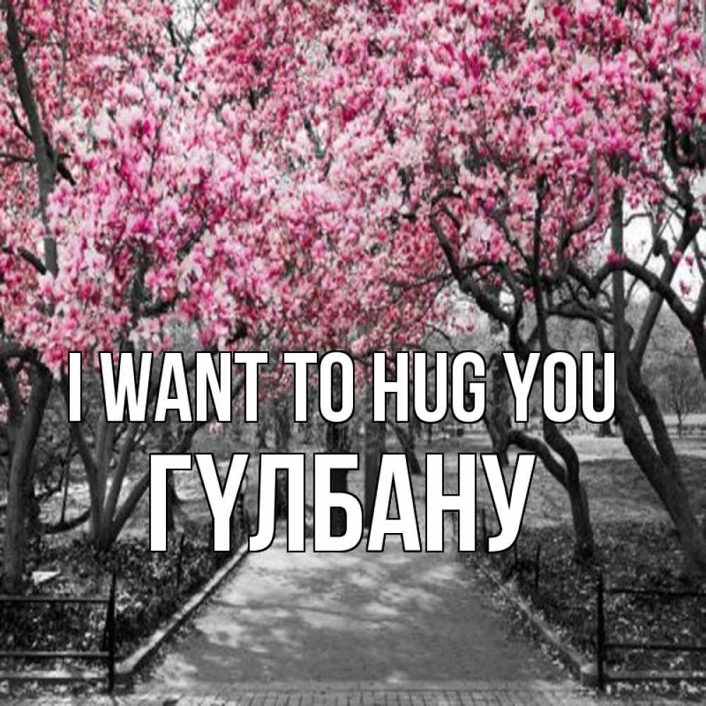 Greetings card с именем, ГҮЛБАНУ I want to hug you обработанное фото Greetings with text for free download 