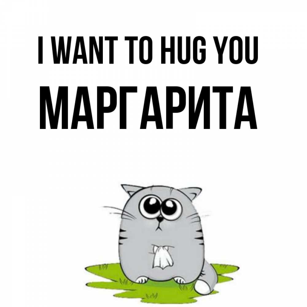 Greetings card с именем, Маргарита I want to hug you котик теребит платочек сидя на травке Greetings with text for free download 