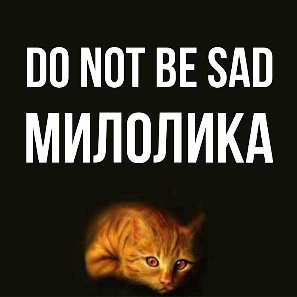 Greetings card с именем, Милолика Do not be sad лежащий кот в темноте Greetings with text for free download 