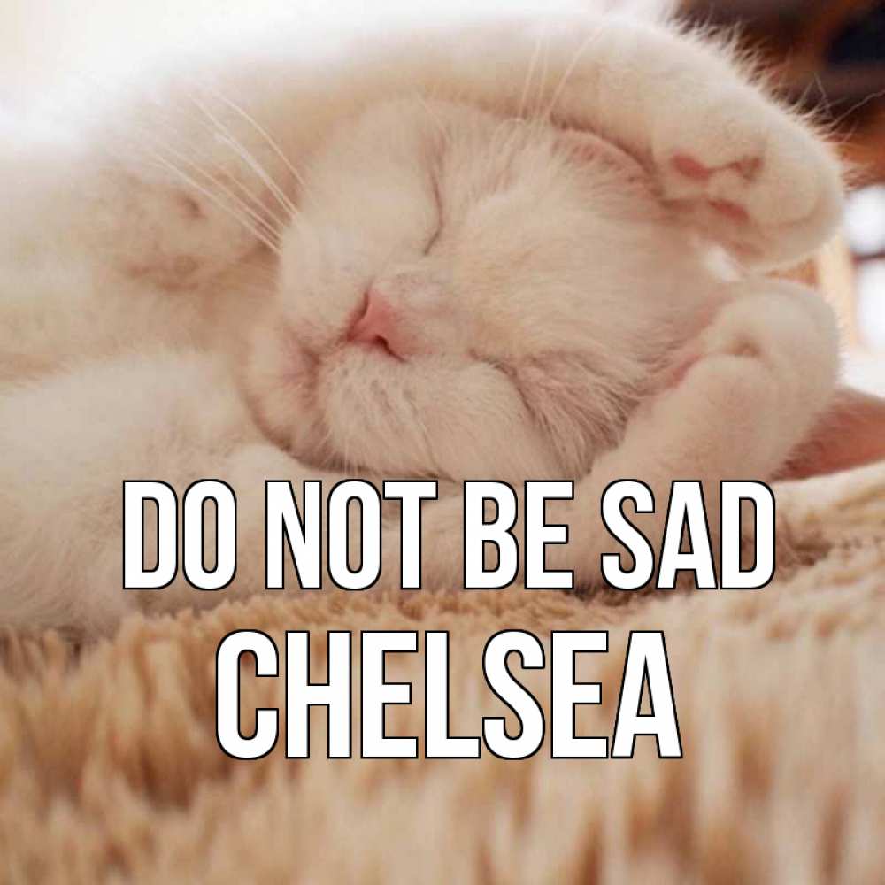 Greetings card с именем, Chelsea Do not be sad белый кот Greetings with text for free download 