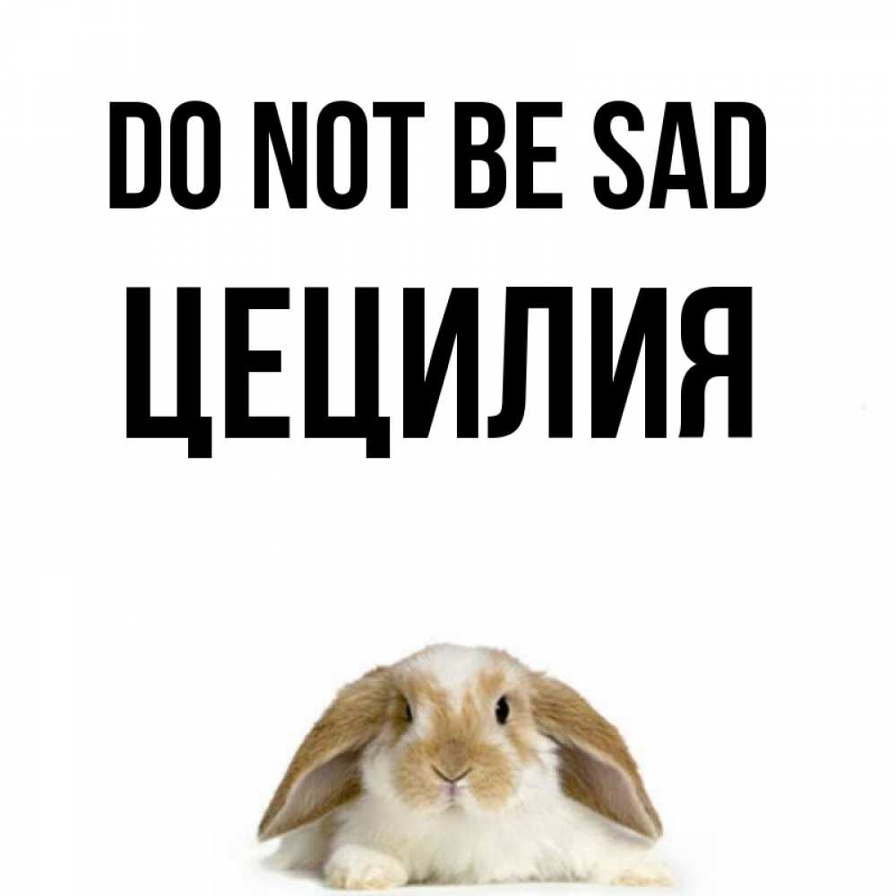 Greetings card с именем, Цецилия Do not be sad коричнево белый заяц с большими ушками Greetings with text for free download 