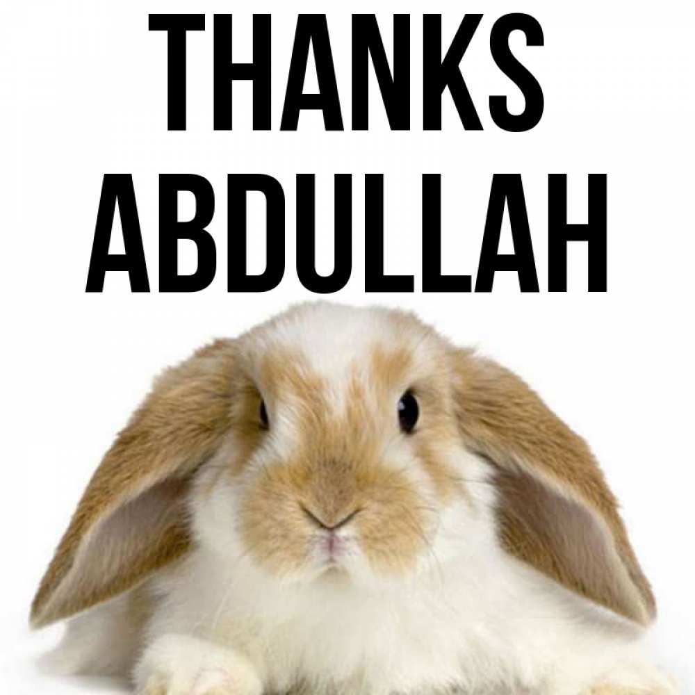 Greetings card с именем, Abdullah Thanks коричнево белый заяц Greetings with text for free download 