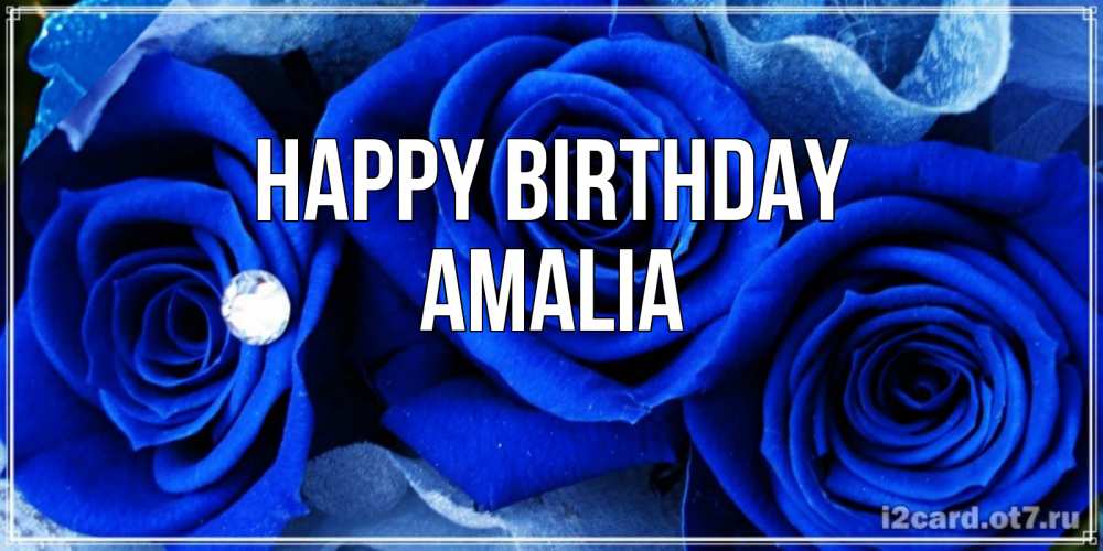 Greetings card с именем, Amalia Happy Birthday синие розы в росе Greetings with text for free download 