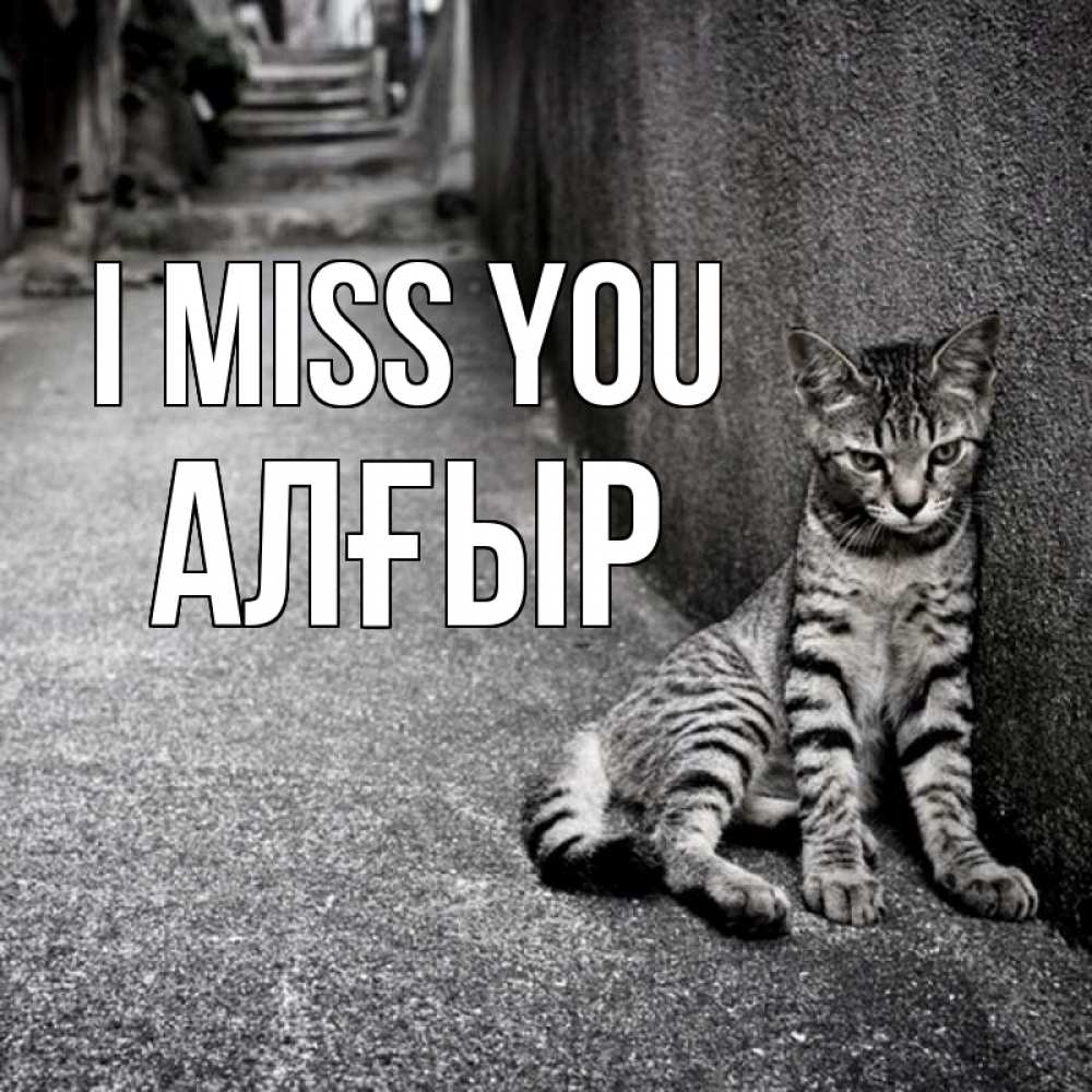 Greetings card с именем, Алғыр I miss you одиноко котику Greetings with text for free download 
