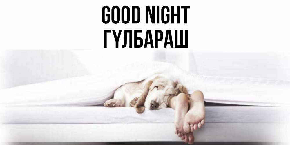 Greetings card с именем, ГҮЛБАРАШ Good night кровать с собакой пожелание сладких снов и спокойной ночи Greetings with text for free download 