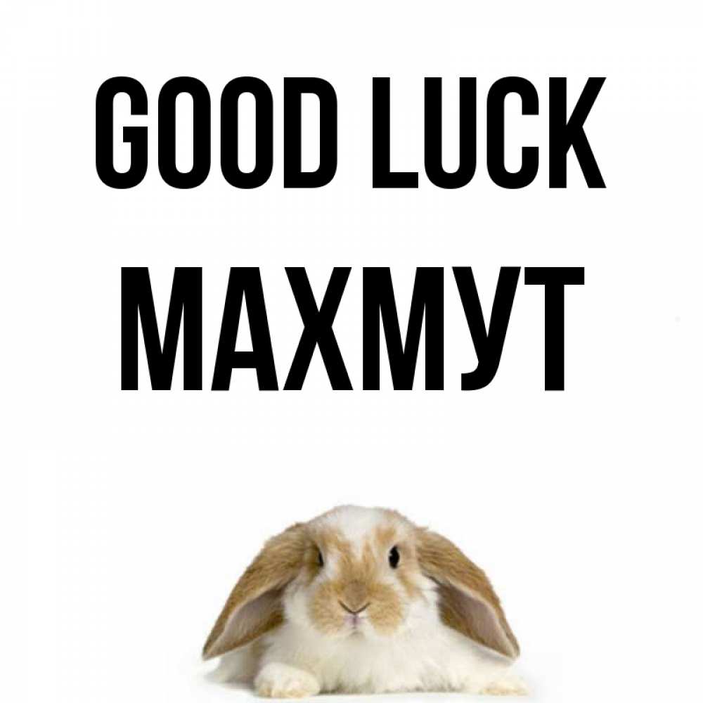 Greetings card с именем, МАХМУТ Good luck открытки с произвольным текстом который можно вставить в открытку и создать ее самостоятельно бесплатно онлайн Greetings with text for free download 