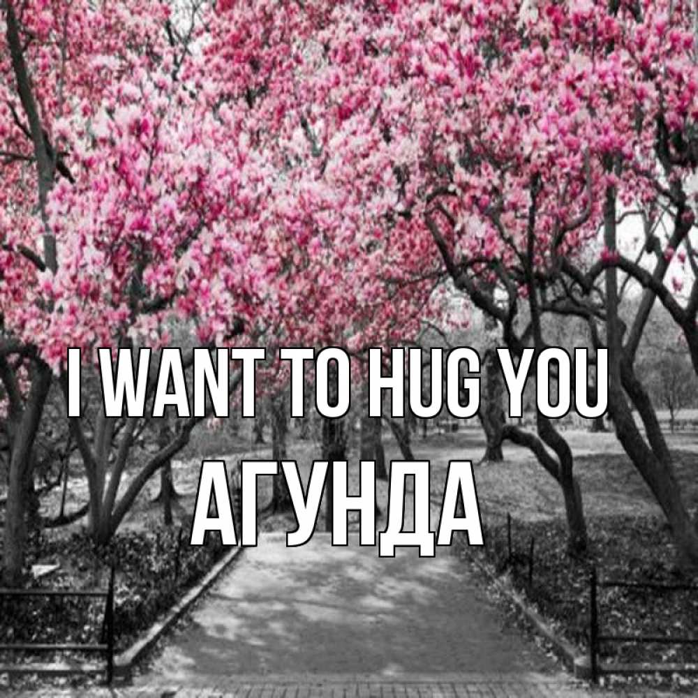 Greetings card с именем, Агунда I want to hug you обработанное фото Greetings with text for free download 