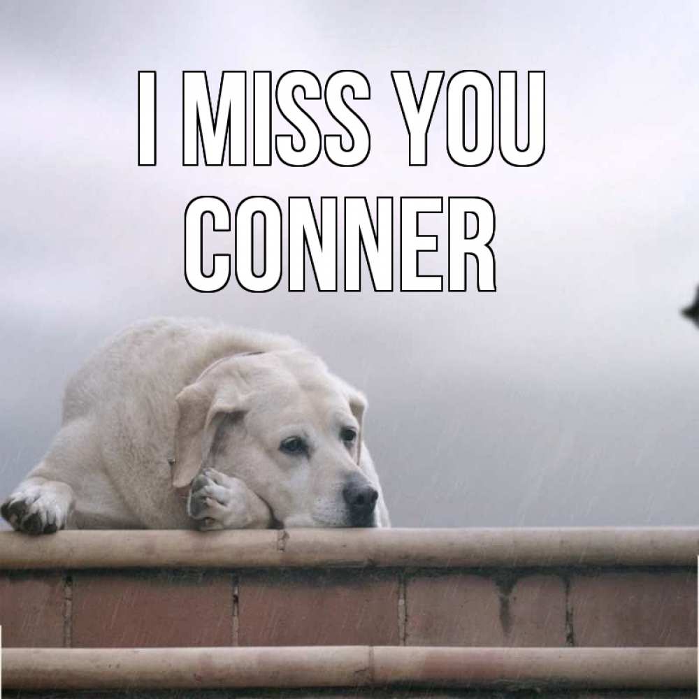 Greetings card с именем, Conner I miss you ждет Greetings with text for free download 