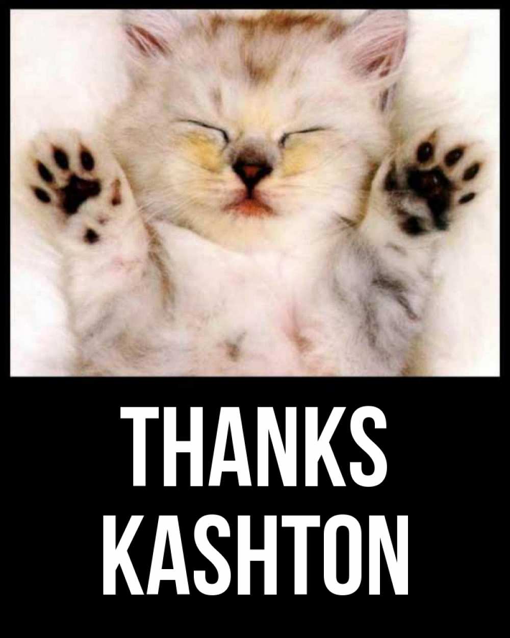 Greetings card с именем, Kashton Thanks маленький котенок Greetings with text for free download 