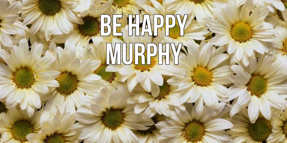 Greetings card с именем, Murphy Be happy крупные ромашки Greetings with text for free download 
