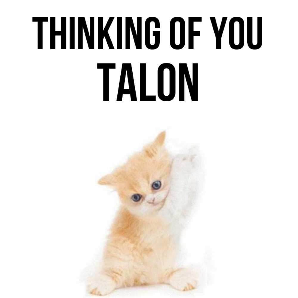 Greetings card с именем, Talon Thinking of you зверушки и милота Greetings with text for free download 