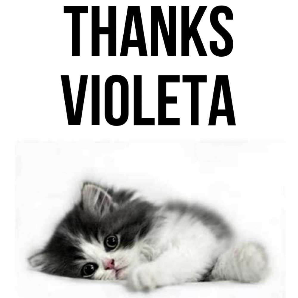 Greetings card с именем, Violeta Thanks черный и белый кот Greetings with text for free download 