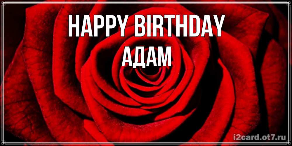 Greetings card с именем, Адам Happy Birthday алая роза Greetings with text for free download 