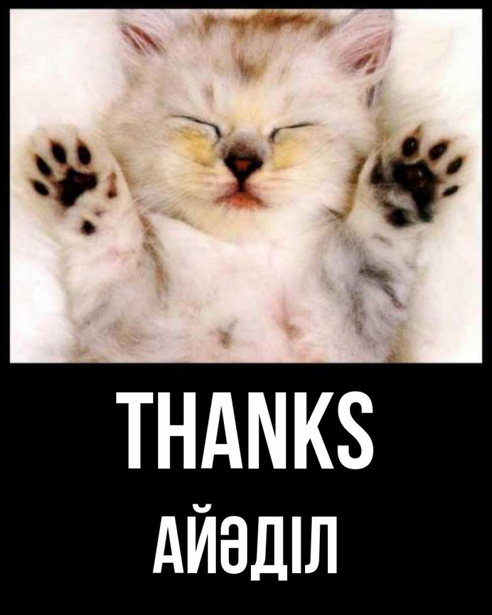 Greetings card с именем, Айәділ Thanks маленький котенок Greetings with text for free download 