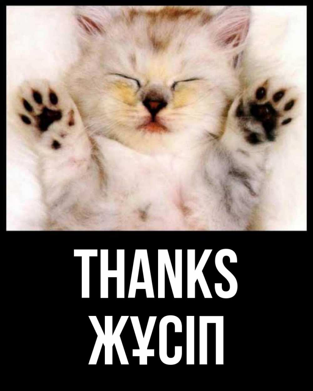 Greetings card с именем, Жұсіп Thanks маленький котенок Greetings with text for free download 
