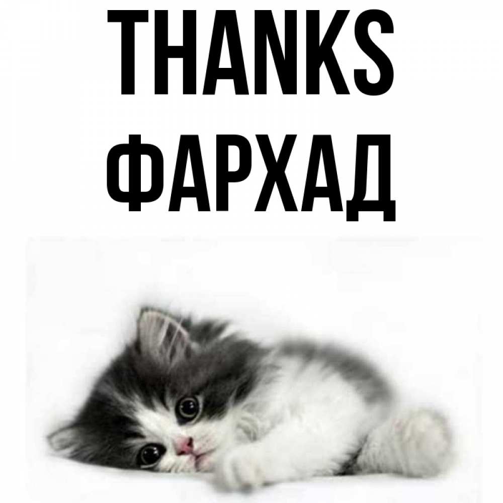 Greetings card с именем, Фархад Thanks черный и белый кот Greetings with text for free download 