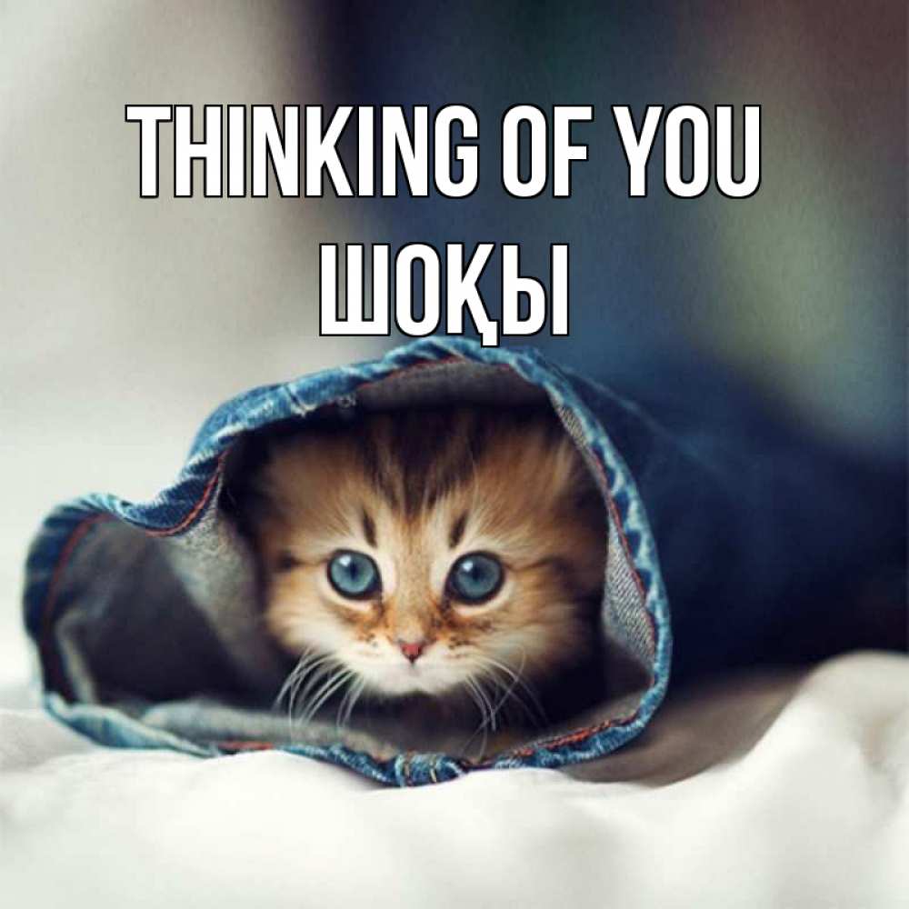 Greetings card с именем, ШОҚЫ Thinking of you мне без тебя плохо Greetings with text for free download 