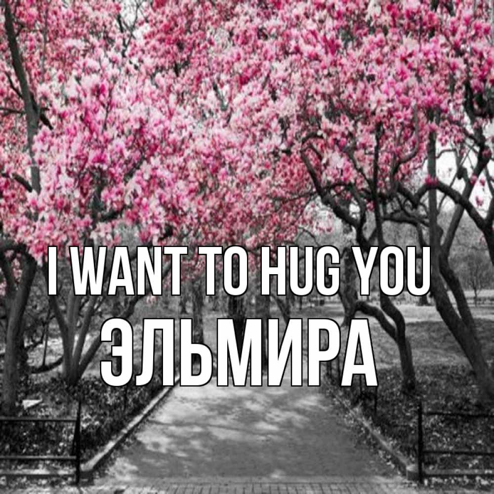 Greetings card с именем, Эльмира I want to hug you обработанное фото Greetings with text for free download 