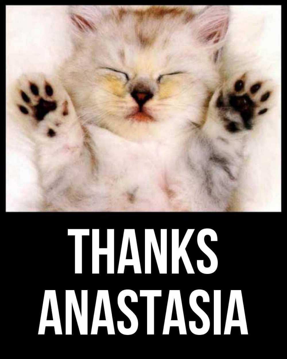 Greetings card с именем, Anastasia Thanks маленький котенок Greetings with text for free download 
