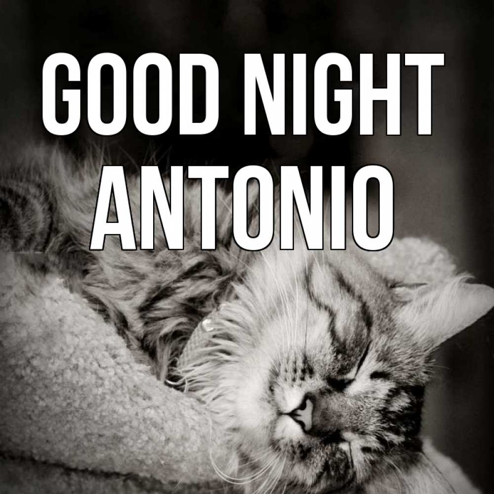 Greetings card с именем, Antonio Good night котярик пушистый Greetings with text for free download 