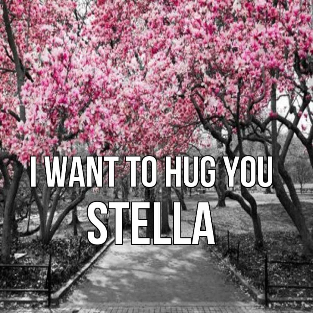 Greetings card с именем, Stella I want to hug you обработанное фото Greetings with text for free download 