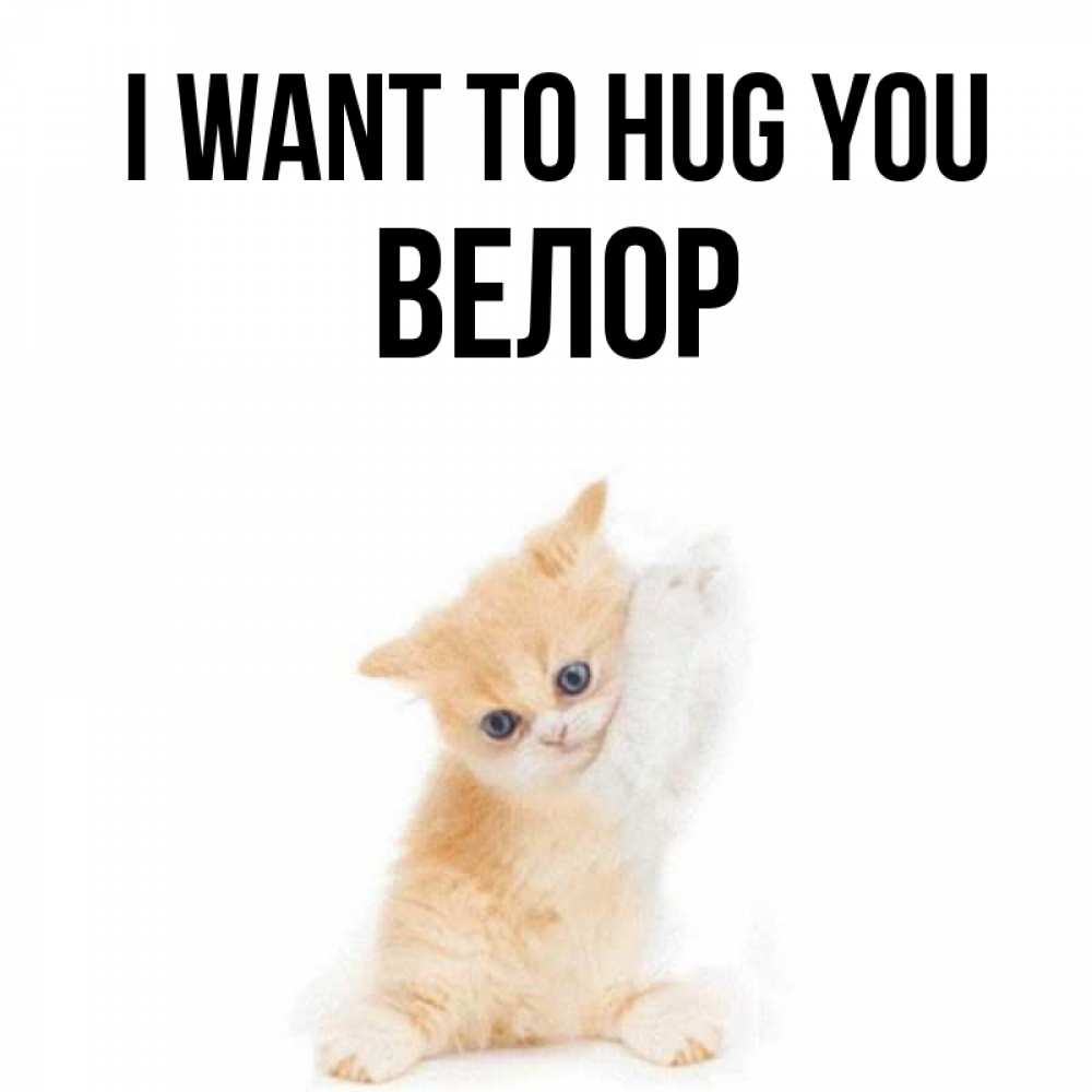Greetings card с именем, Велор I want to hug you я хочу очень скорее обнимаешек Greetings with text for free download 