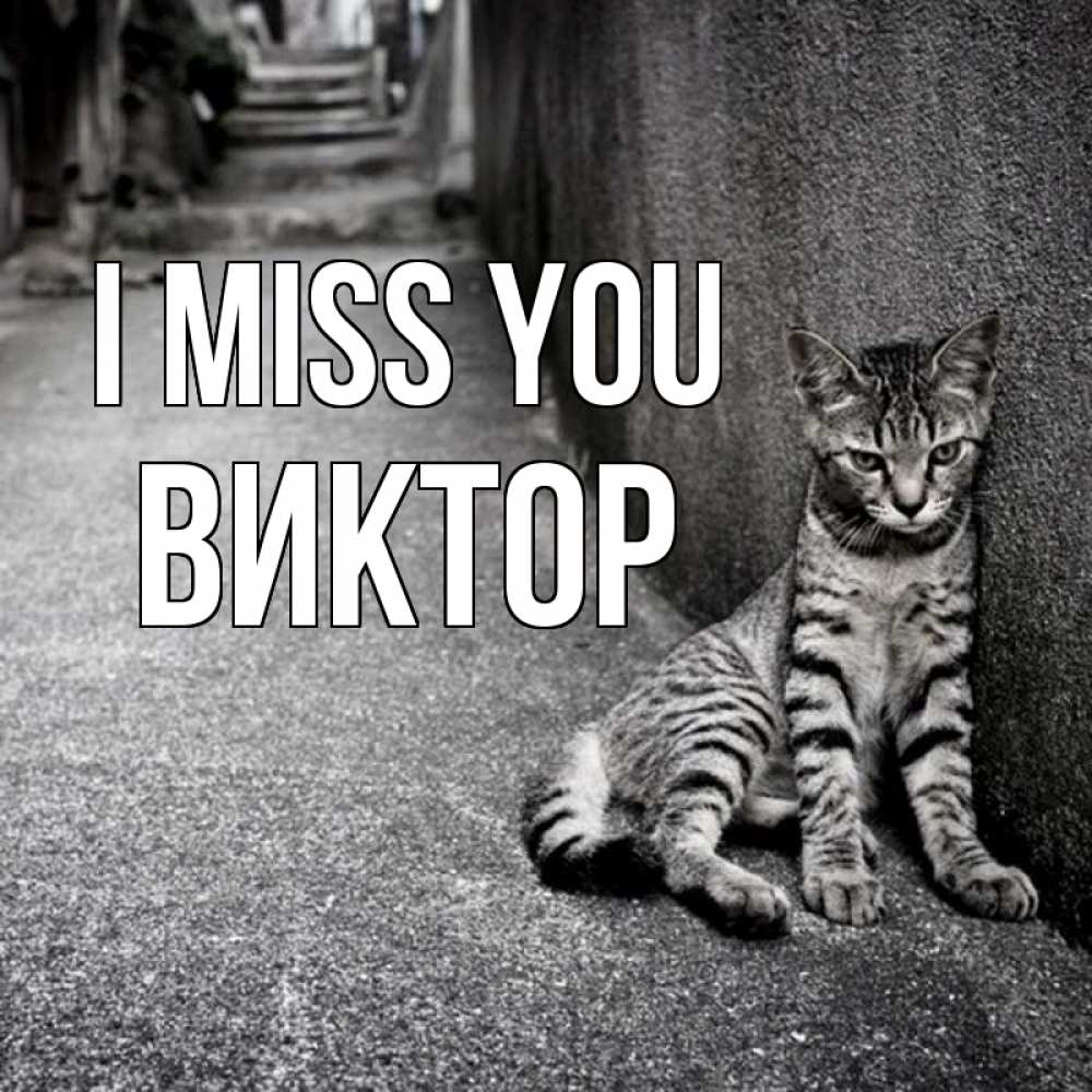 Greetings card с именем, Виктор I miss you одиноко котику Greetings with text for free download 
