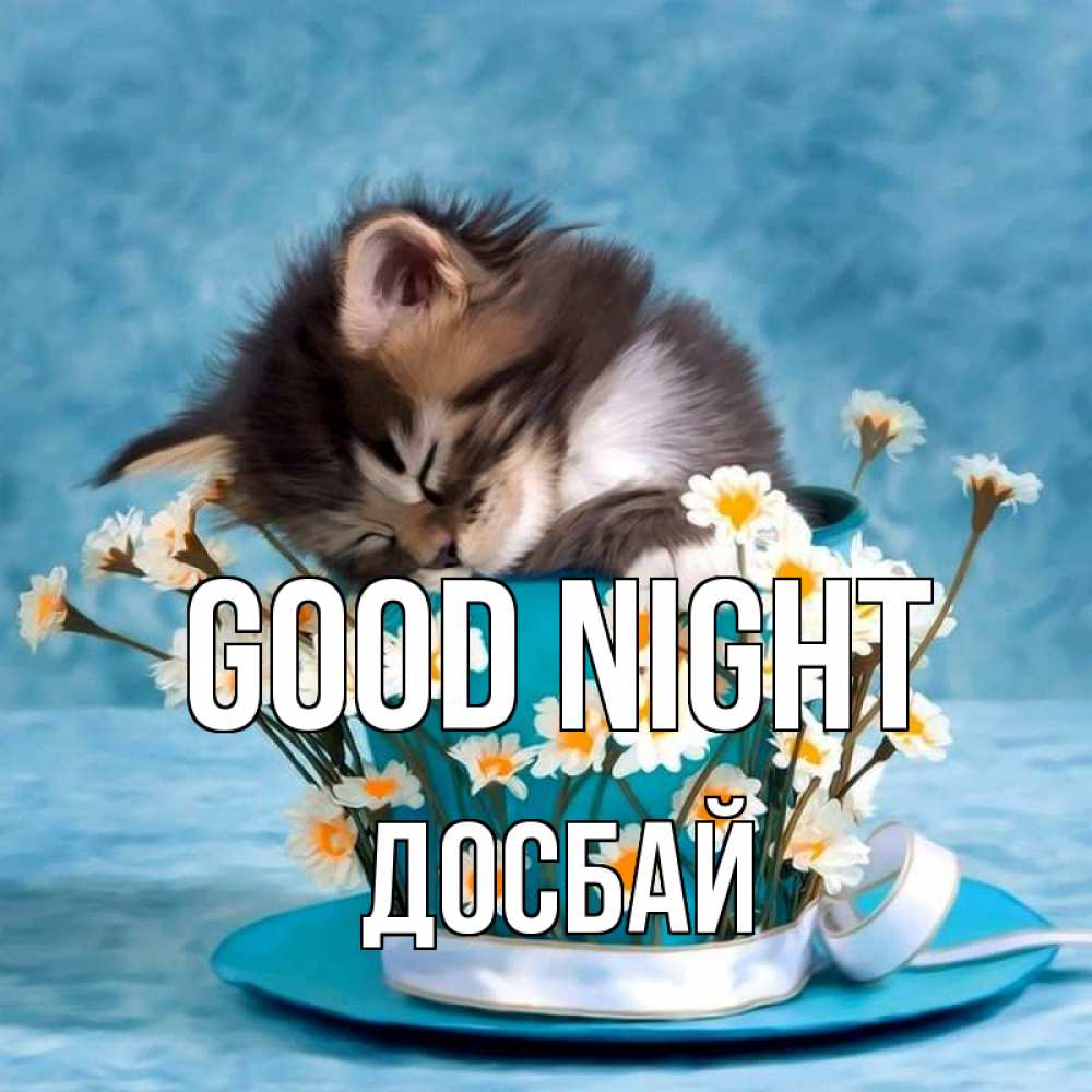 Greetings card с именем, Досбай Good night котенок спит в кружке с блюдцем Greetings with text for free download 