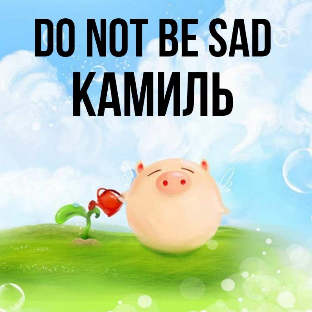 Greetings card с именем, Камиль Do not be sad поливает цветок порося Greetings with text for free download 