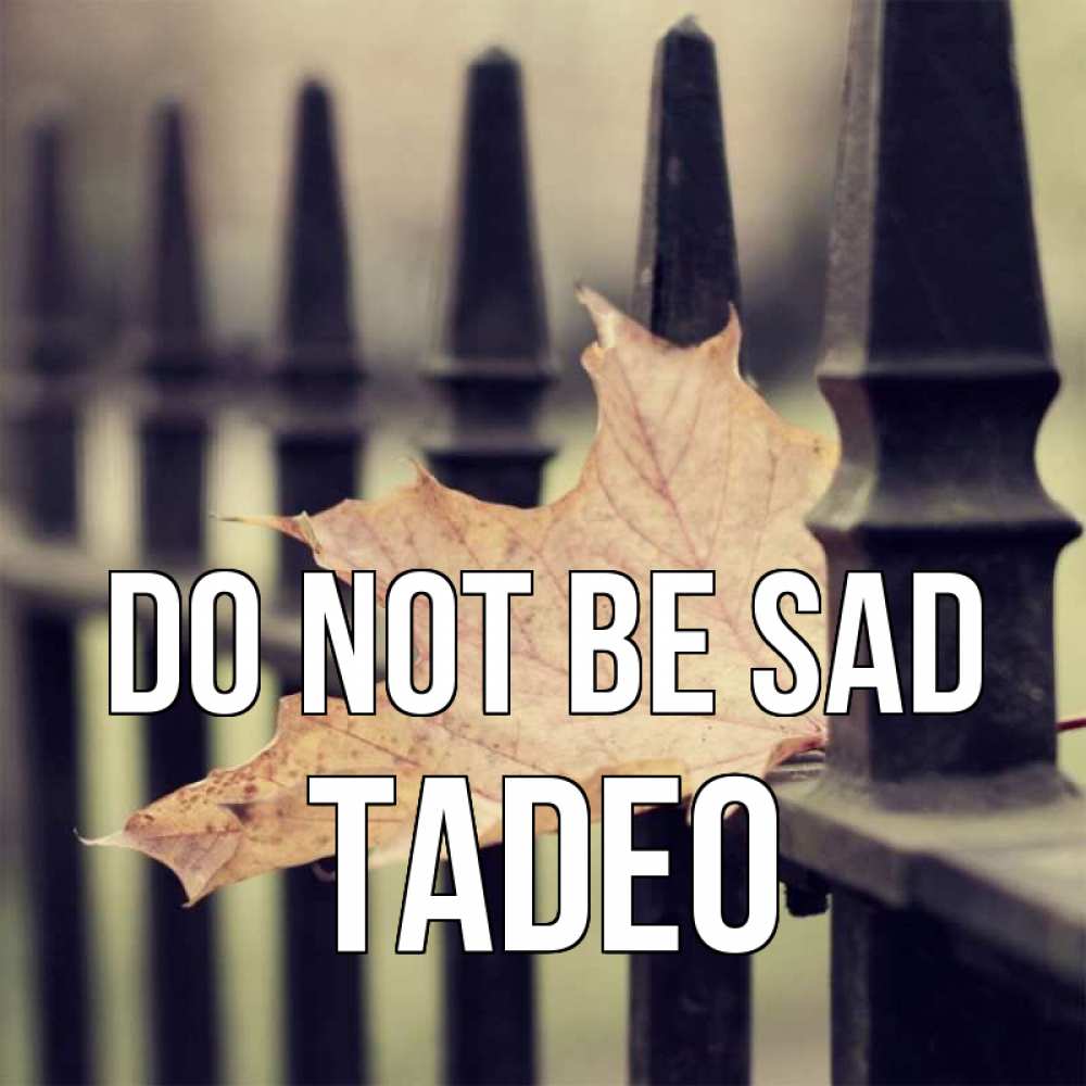 Greetings card с именем, Tadeo Do not be sad лист клена Greetings with text for free download 