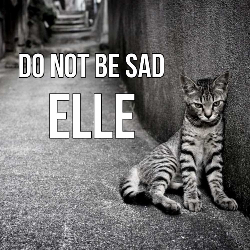 Greetings card с именем, Elle Do not be sad скучающий котик Greetings with text for free download 