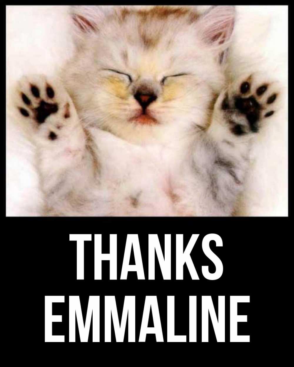 Greetings card с именем, Emmaline Thanks маленький котенок Greetings with text for free download 
