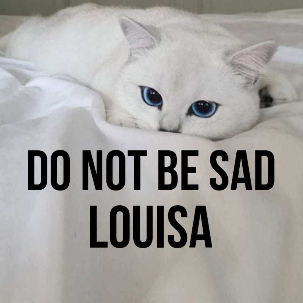 Greetings card с именем, Louisa Do not be sad Голубоглазая кошка Greetings with text for free download 