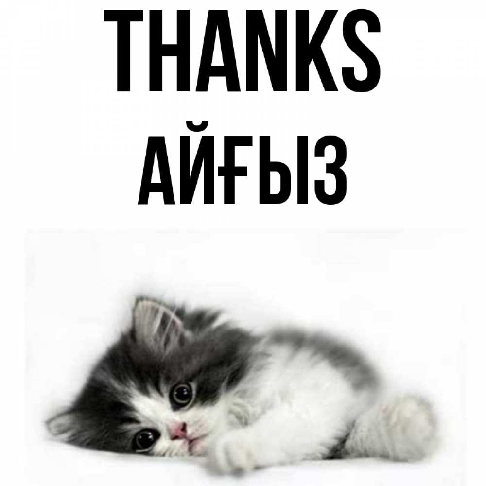 Greetings card с именем, АЙҒЫЗ Thanks черный и белый кот Greetings with text for free download 