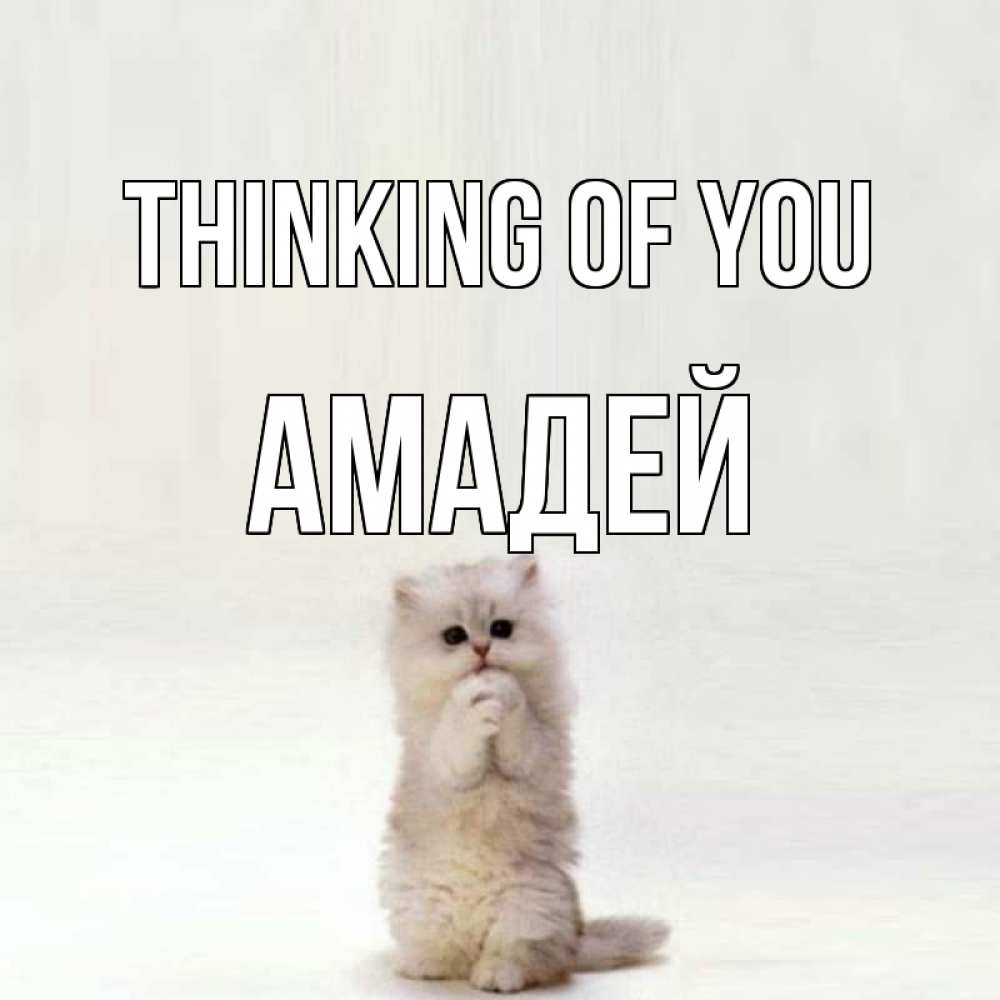 Greetings card с именем, Амадей Thinking of you кот стоит на задних лапах Greetings with text for free download 